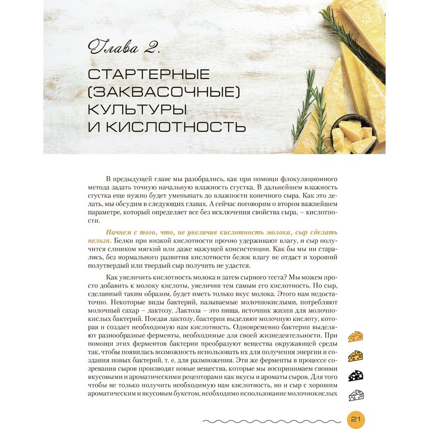 Книга "Современное сыроделие для всех", П. И. Чечулин